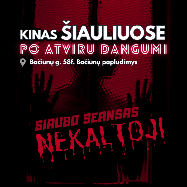Drive-in kinas, Bačiūnų paplūdimyje